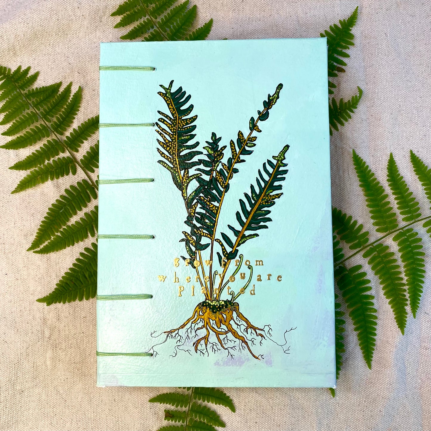 fern journal - Zinnia Awakens