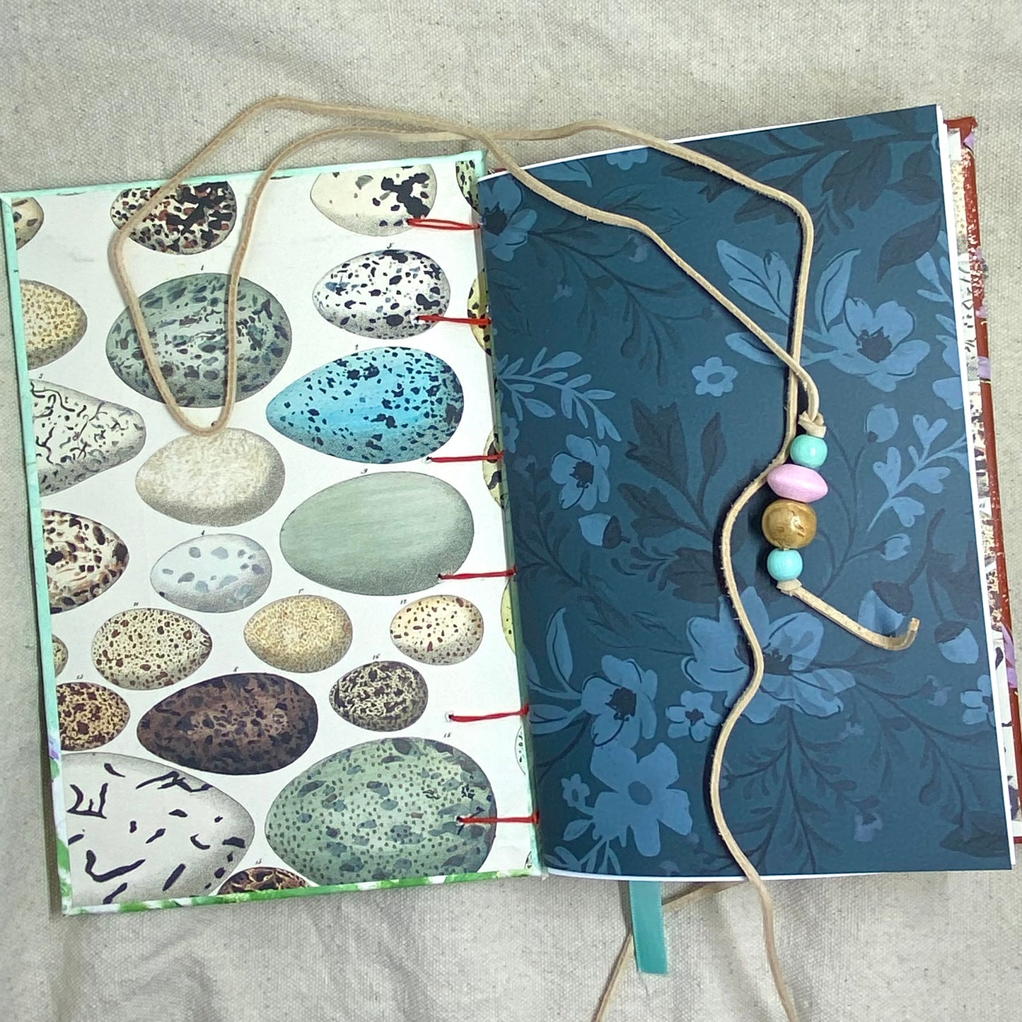 texas oak journal 💜 - Zinnia Awakens