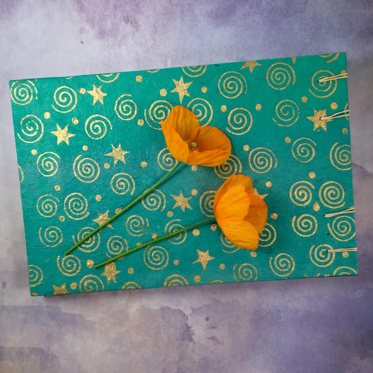 fern journal - Zinnia Awakens
