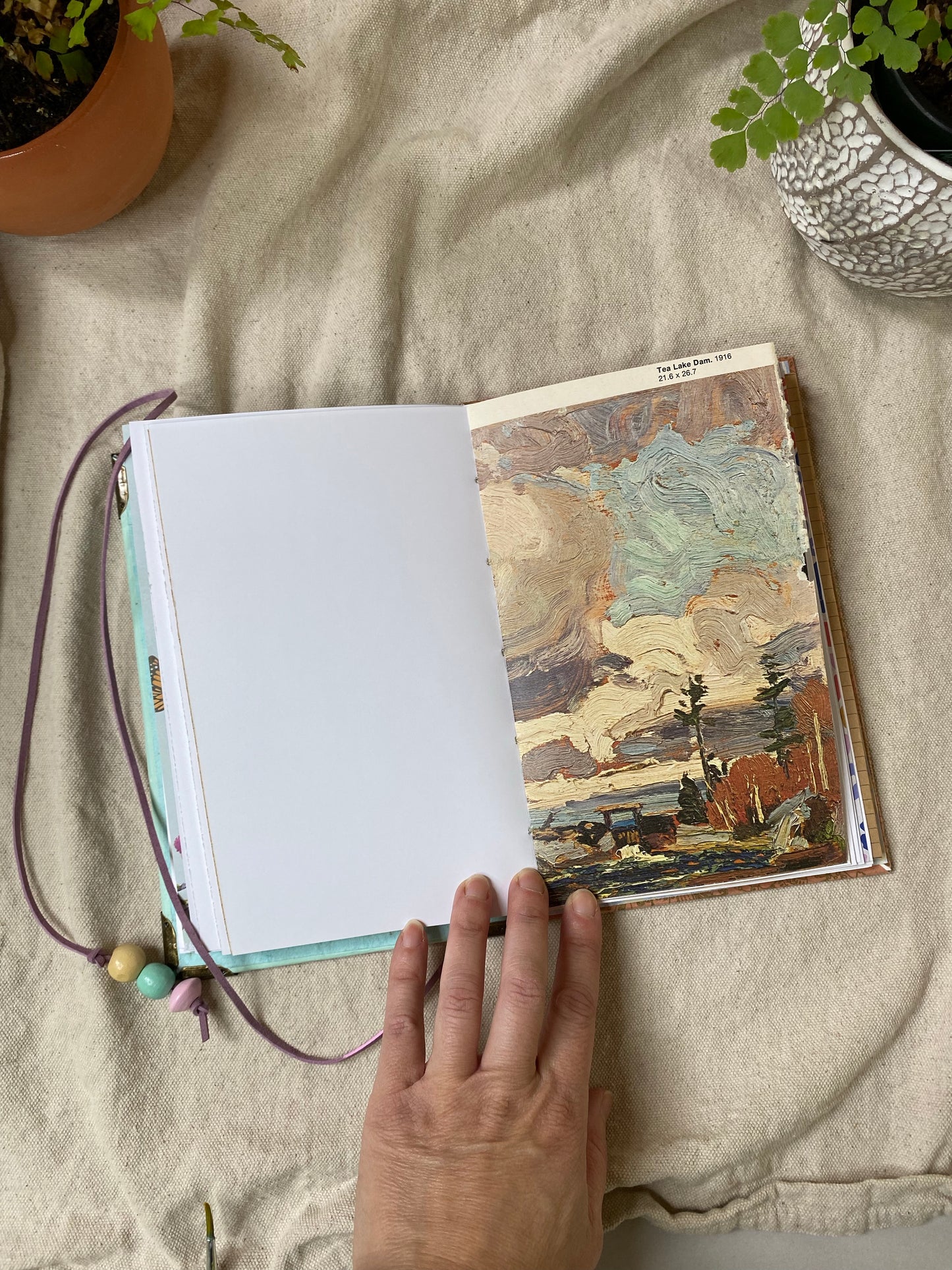 sun and moon journal 🌞 🌙 - Zinnia Awakens