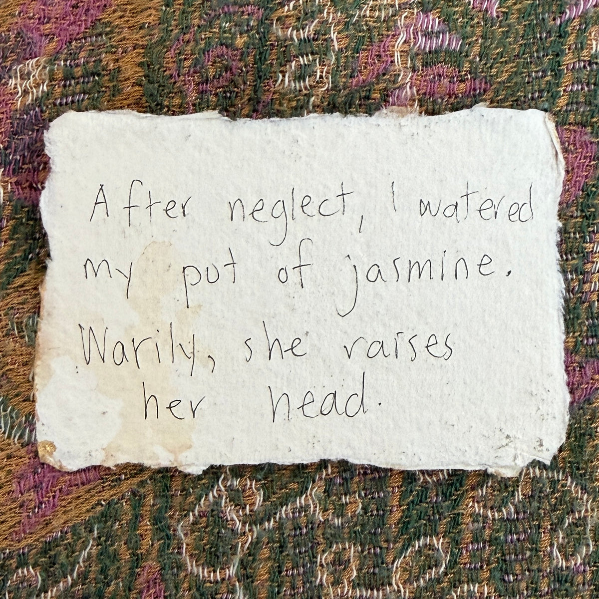 Haiku Trace