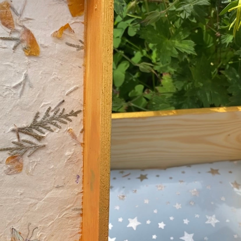 Wooden Feather Box 🪶 - Zinnia Awakens