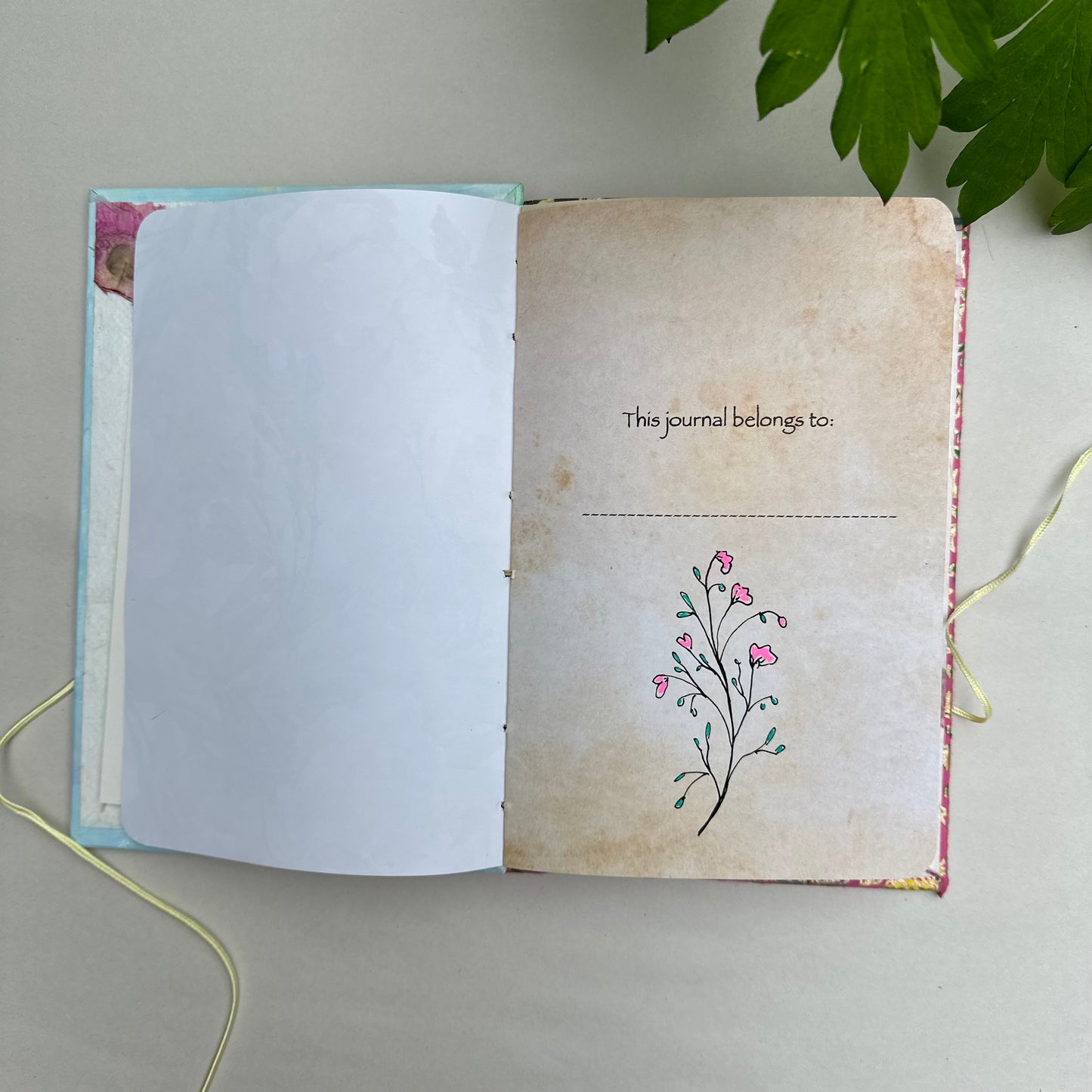 Flowers for the Coffee Table Journal 🌸 - Zinnia Awakens