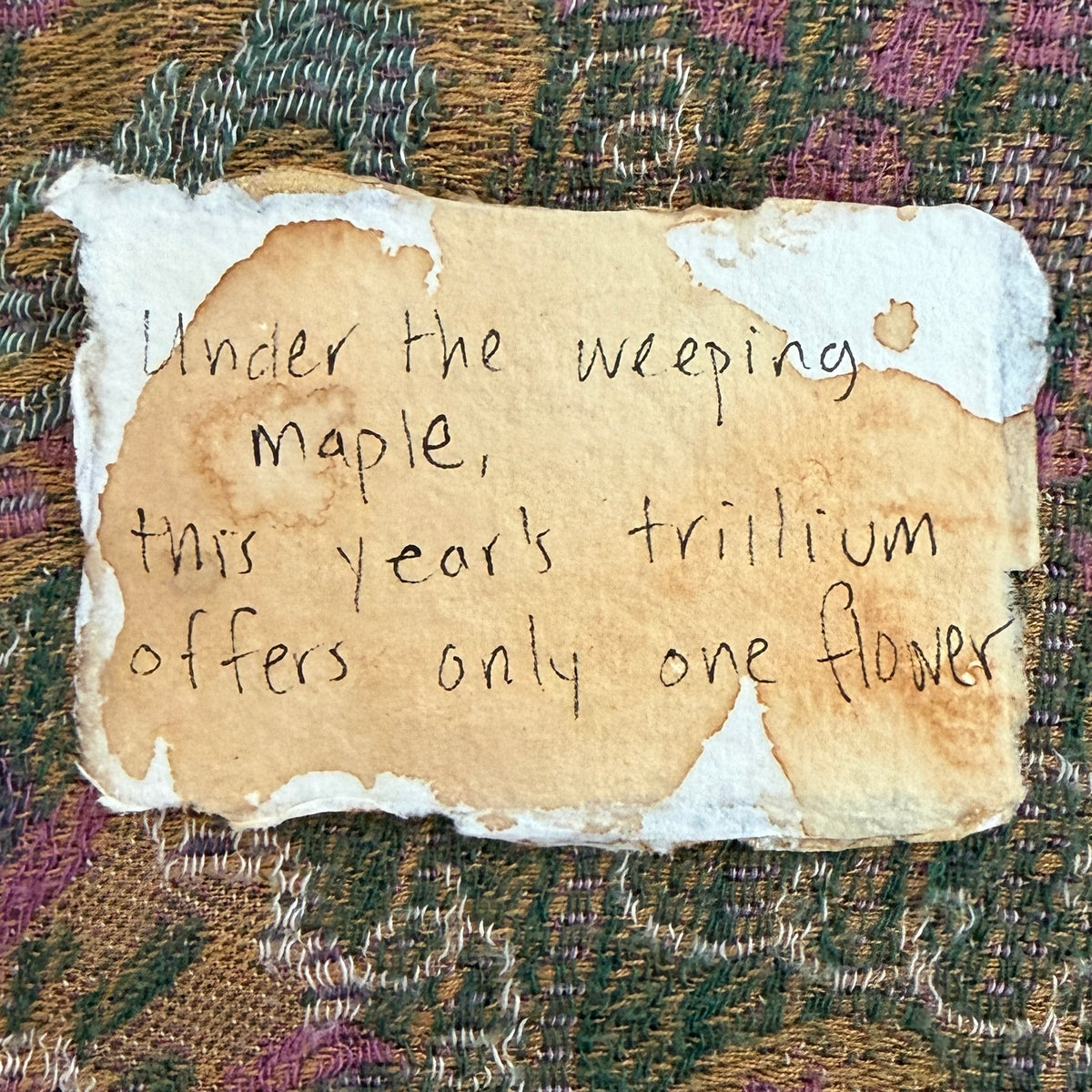 Haiku Trace