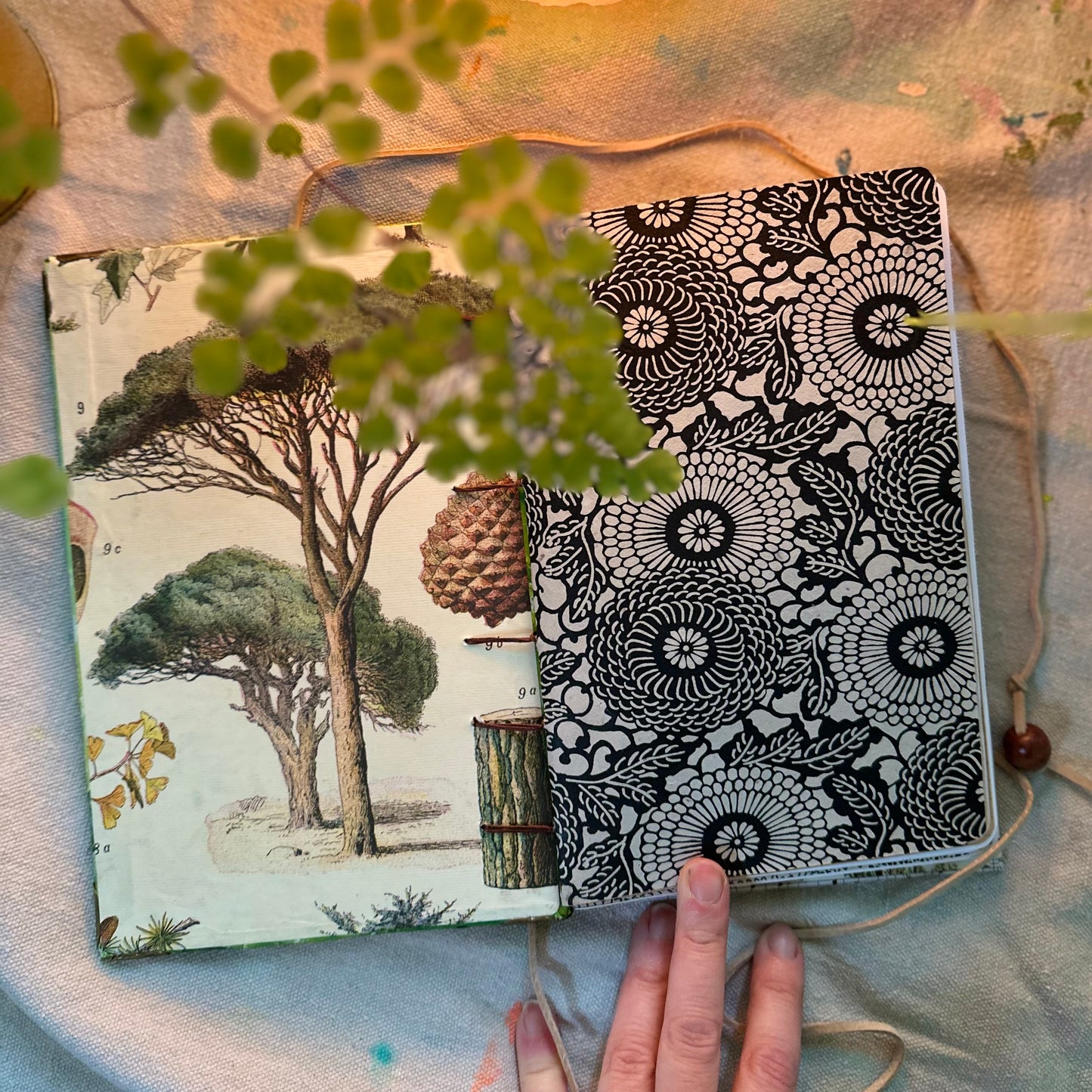 Forest Bathing Journal 🌲 - Zinnia Awakens