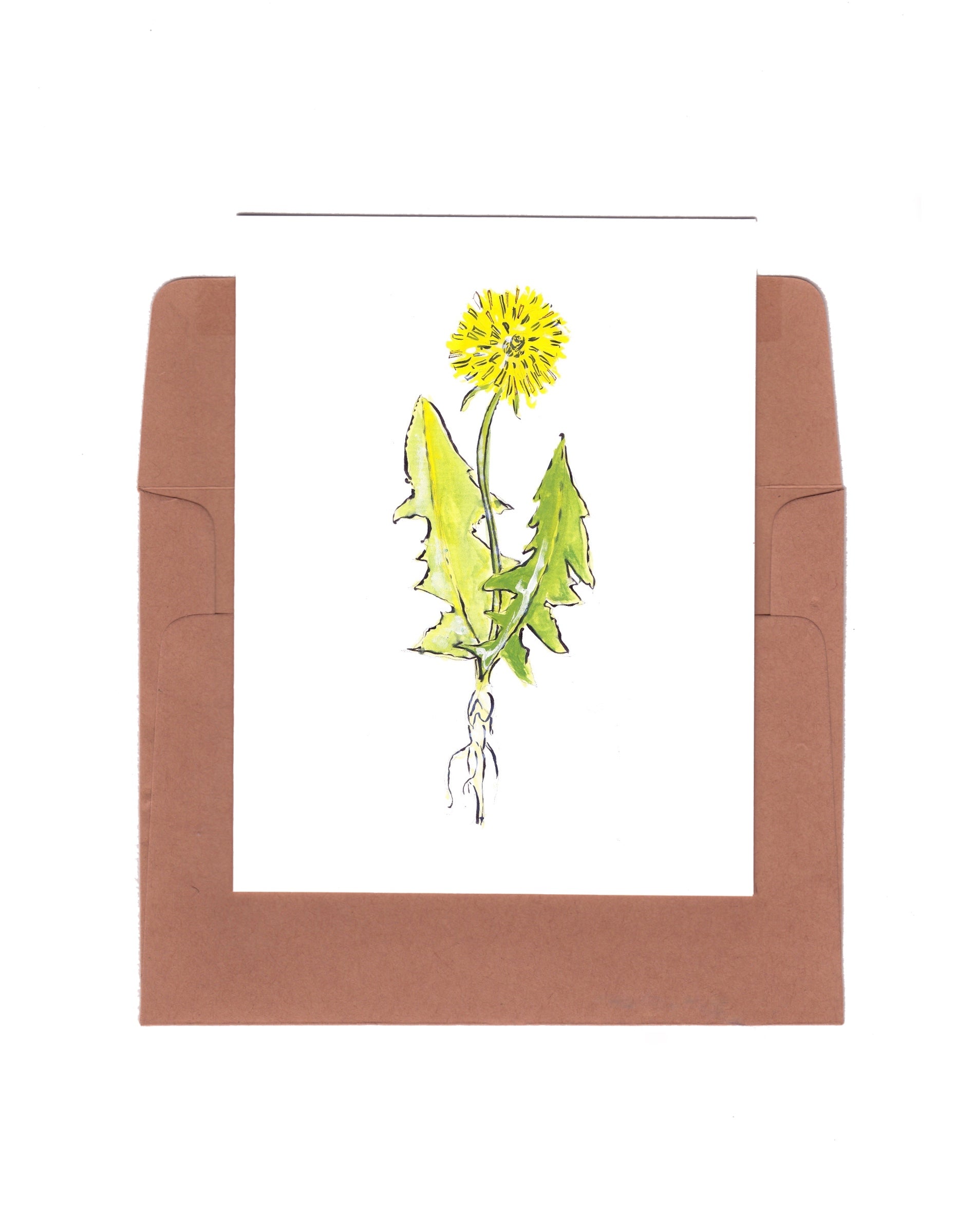 Dandelion - Zinnia Awakens