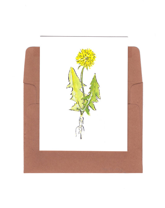 Dandelion - Zinnia Awakens