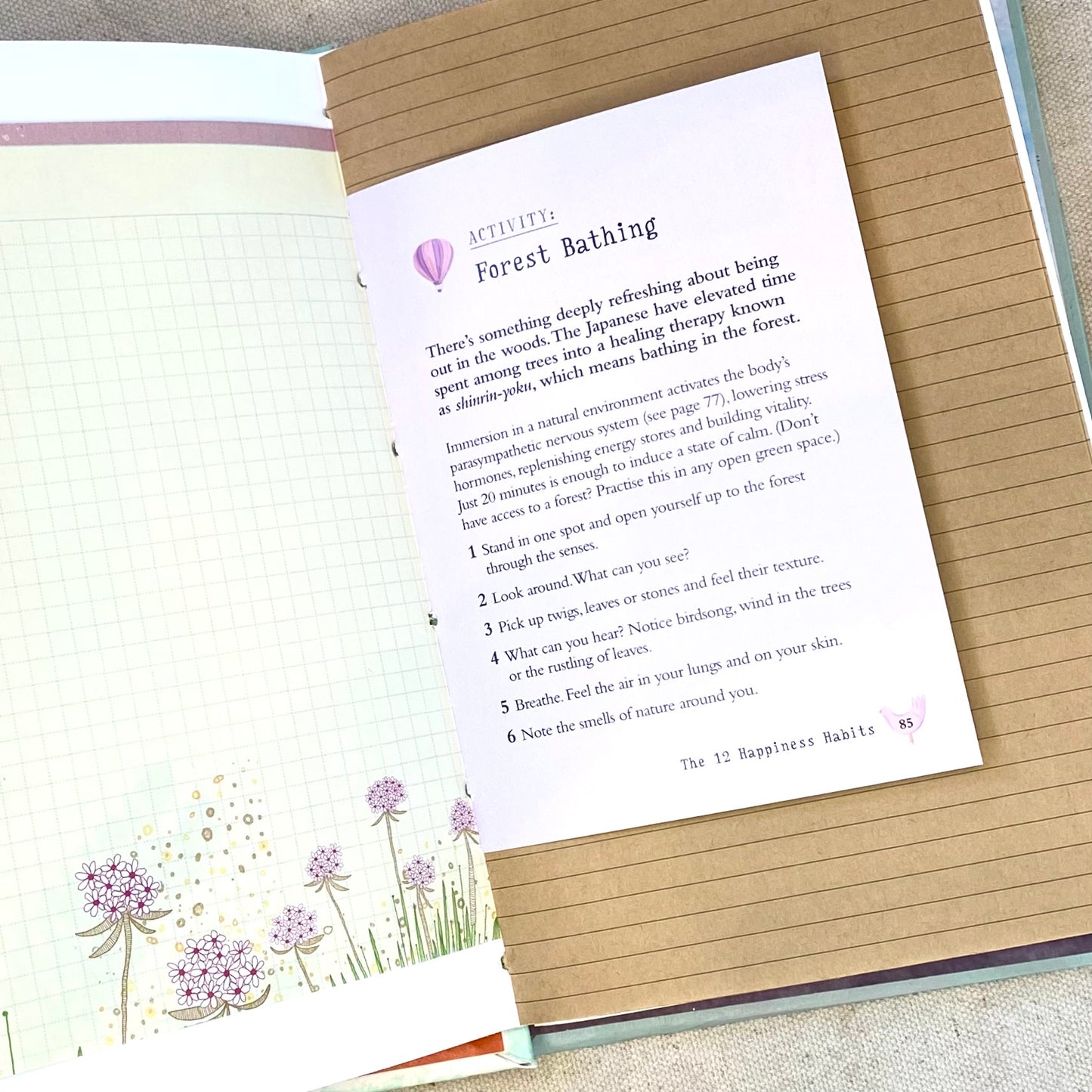 fern journal - Zinnia Awakens
