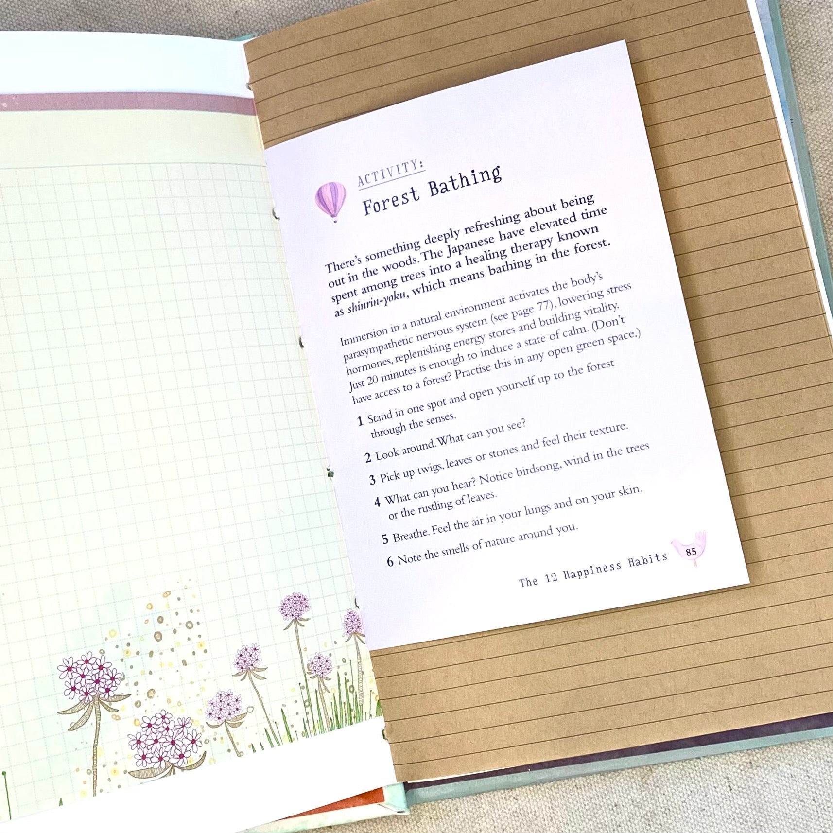 fern journal - Zinnia Awakens