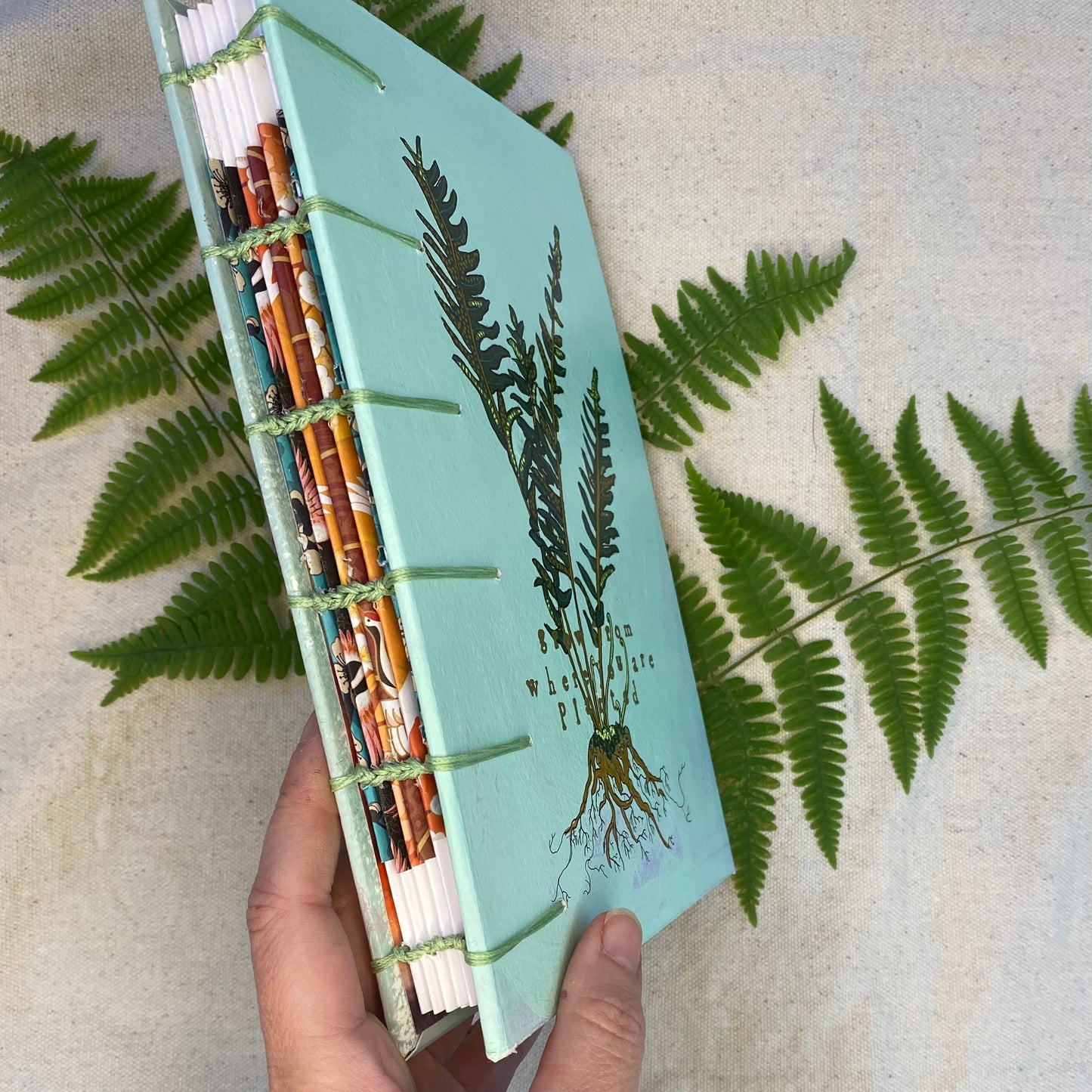 fern journal - Zinnia Awakens