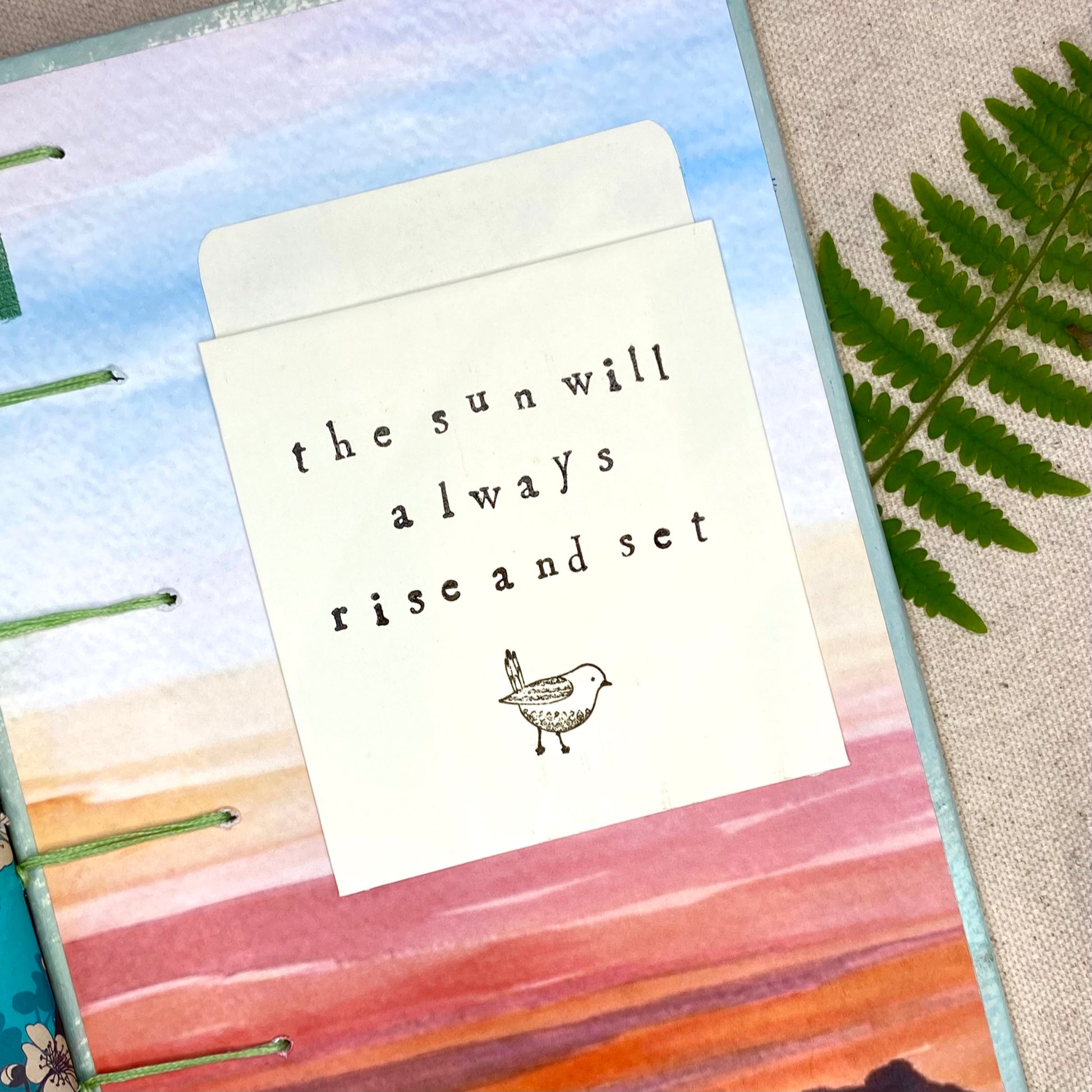 fern journal - Zinnia Awakens