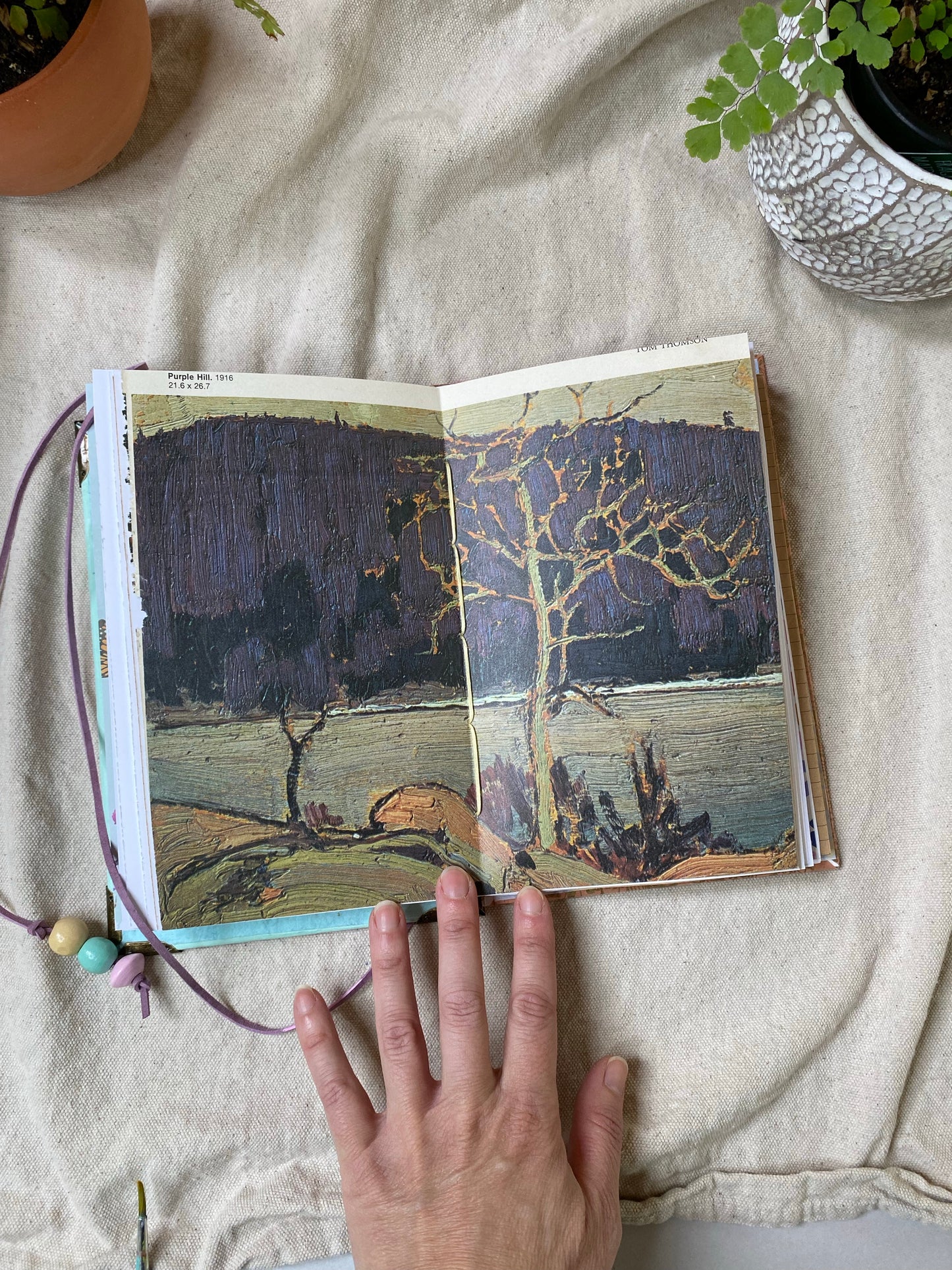 sun and moon journal 🌞 🌙 - Zinnia Awakens