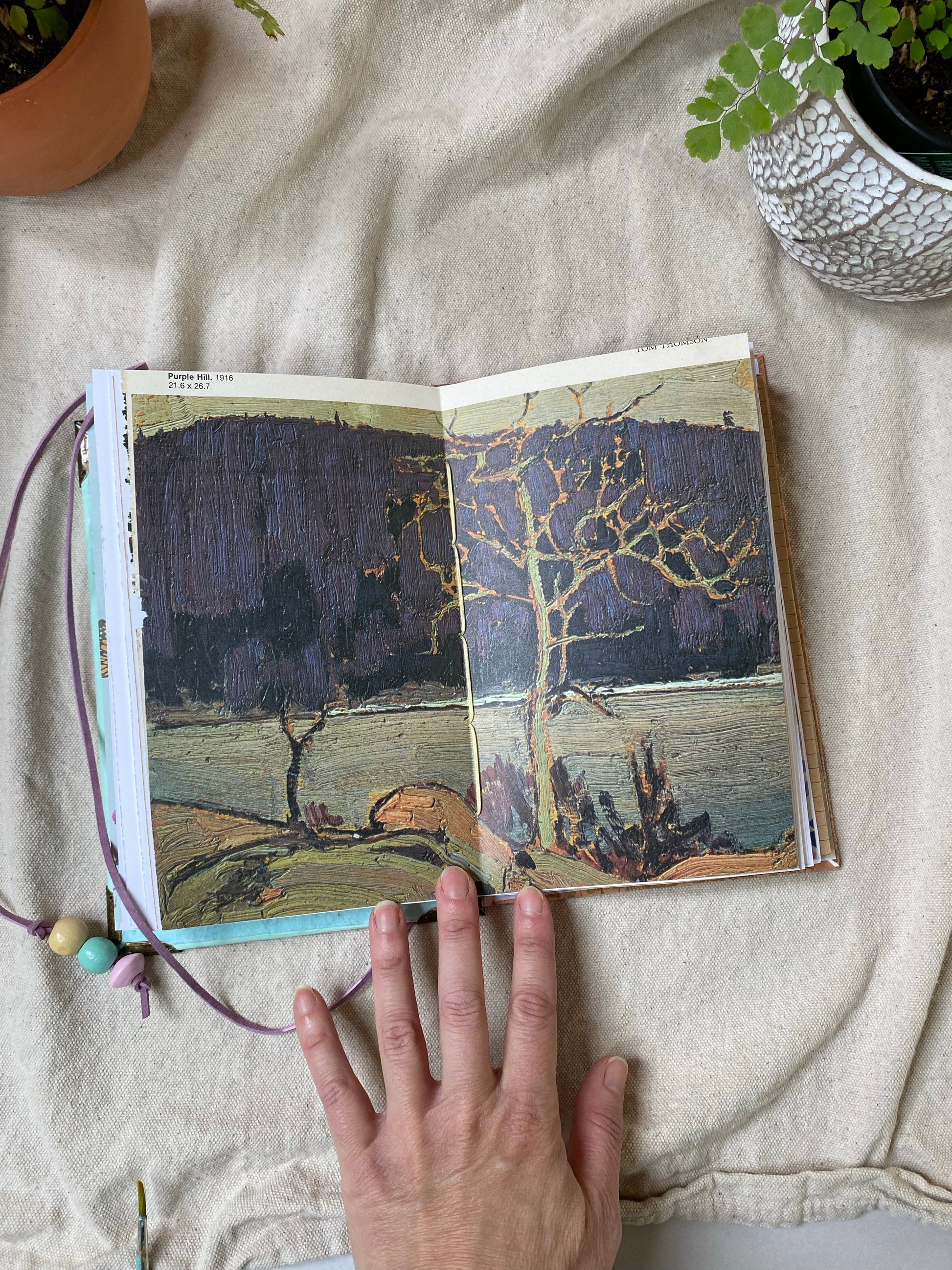 sun and moon journal 🌞 🌙 - Zinnia Awakens