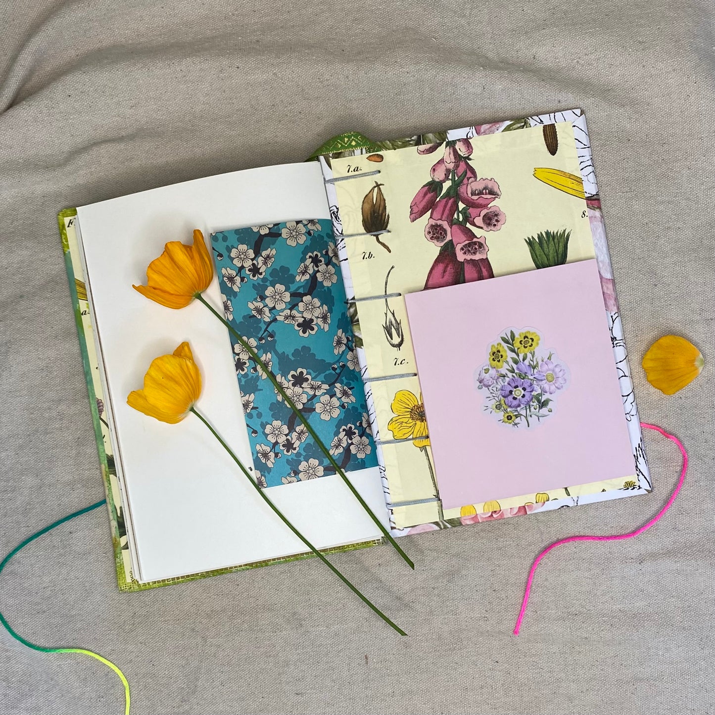 owl journal - Zinnia Awakens