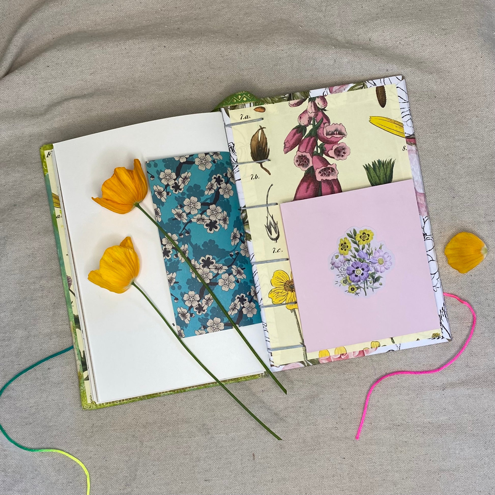 owl journal - Zinnia Awakens