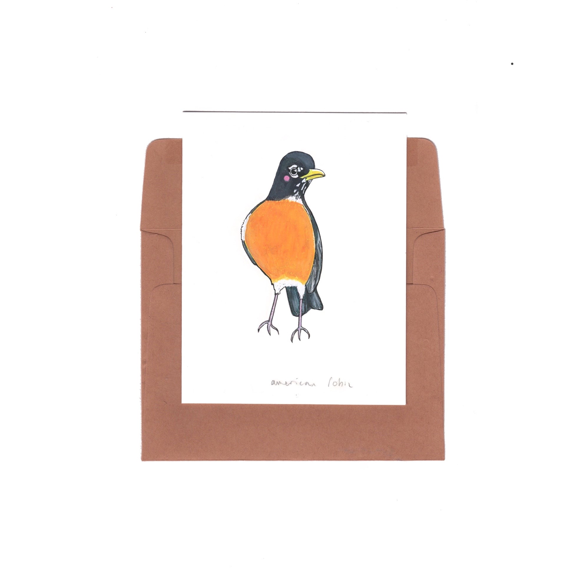 american robin - Zinnia Awakens