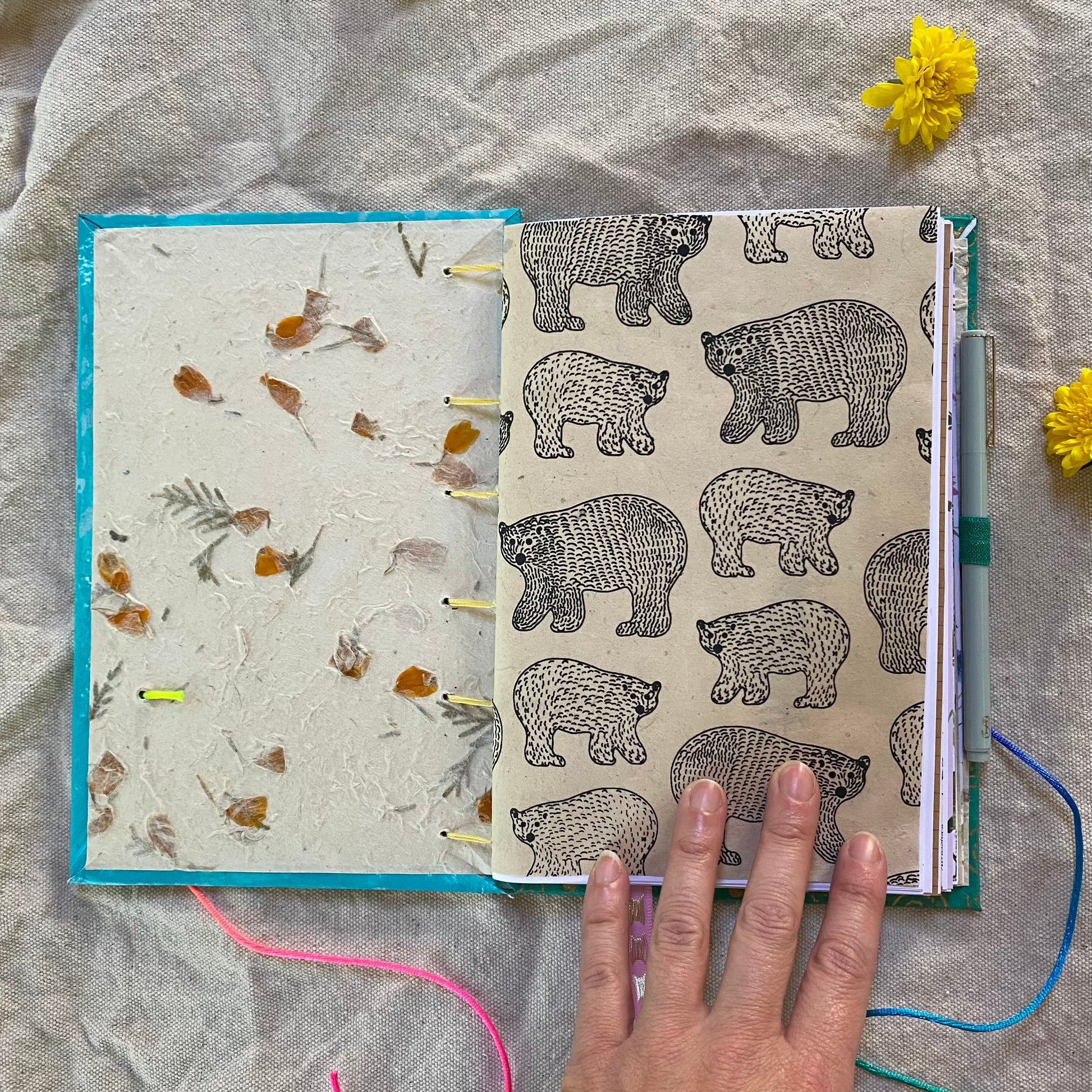 dove journal - Zinnia Awakens