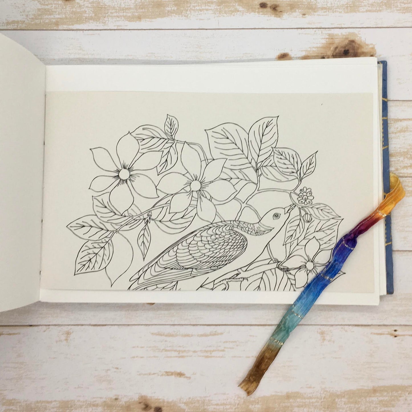 orca journal - Zinnia Awakens