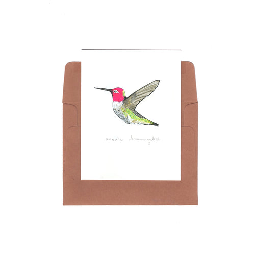 anna’s hummingbird - Zinnia Awakens