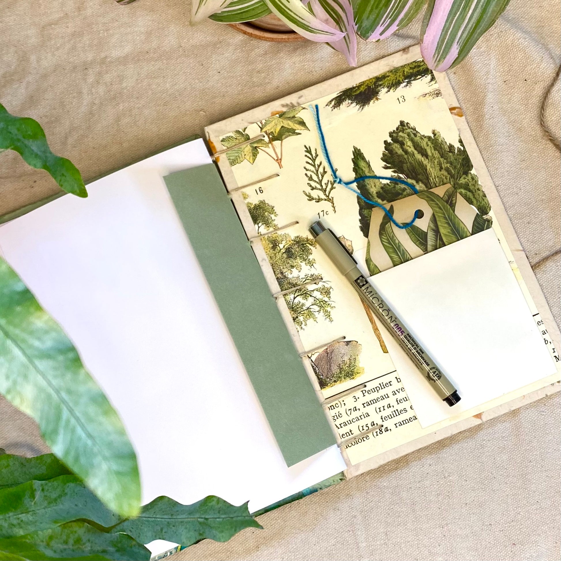 loss of a pet custom journal - Zinnia Awakens