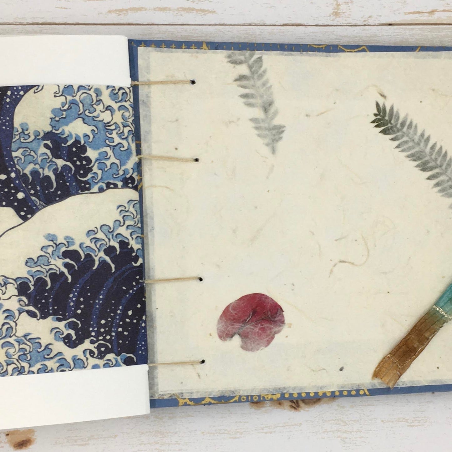 orca journal - Zinnia Awakens