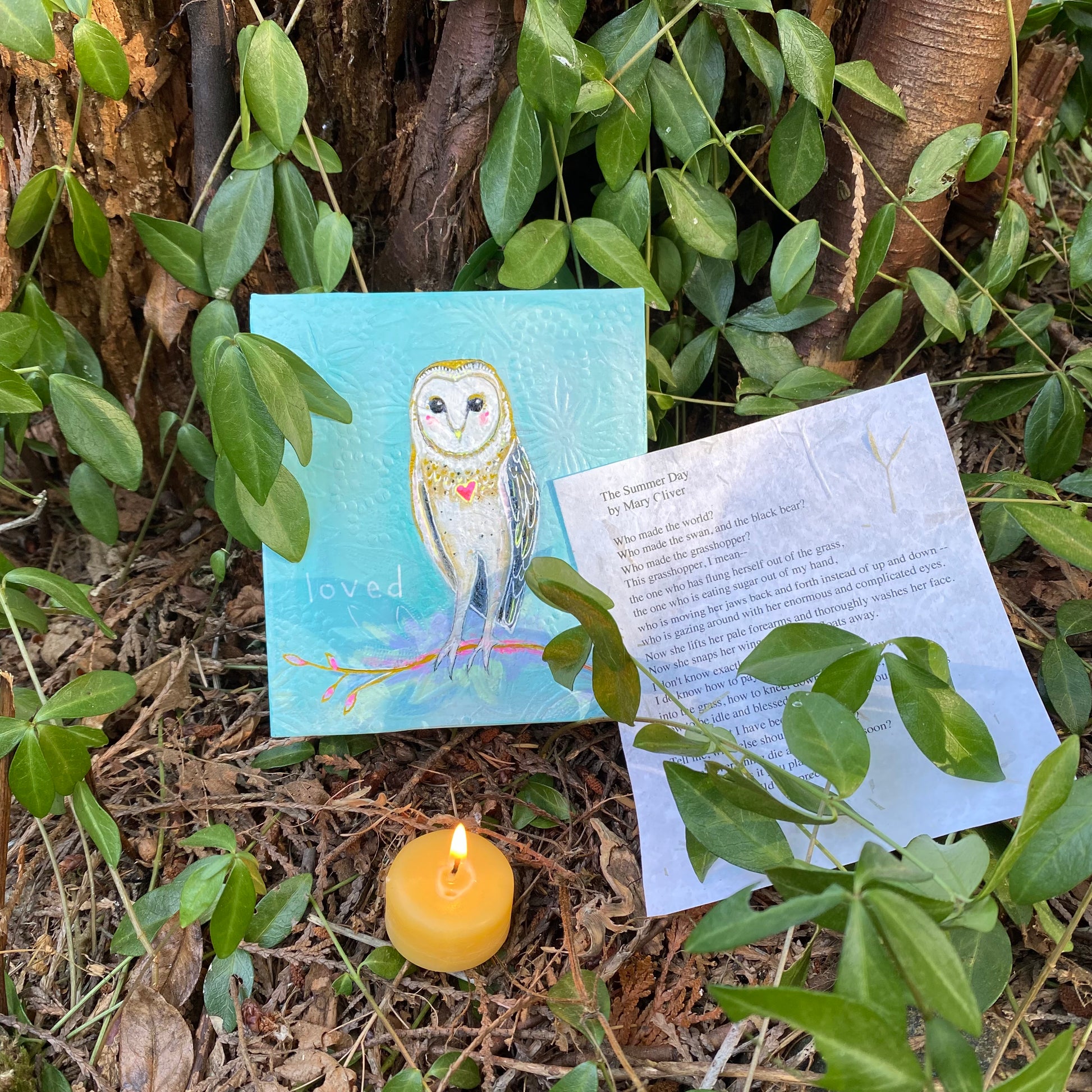 Owl Meditation Box - Zinnia Awakens