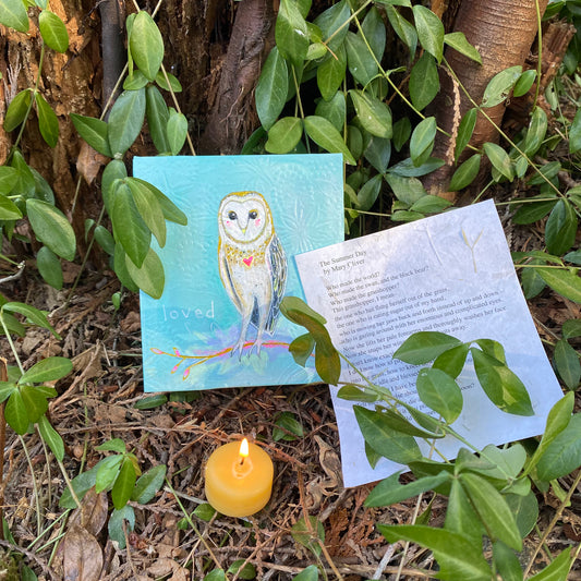 Owl Meditation Box - Zinnia Awakens