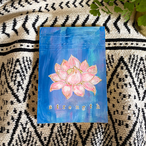 Lotus Journal | Sketchbook - Zinnia Awakens