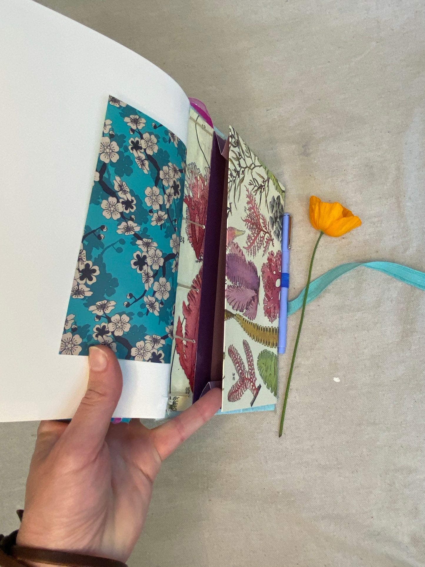 sun and moon journal 🌞 🌙 - Zinnia Awakens