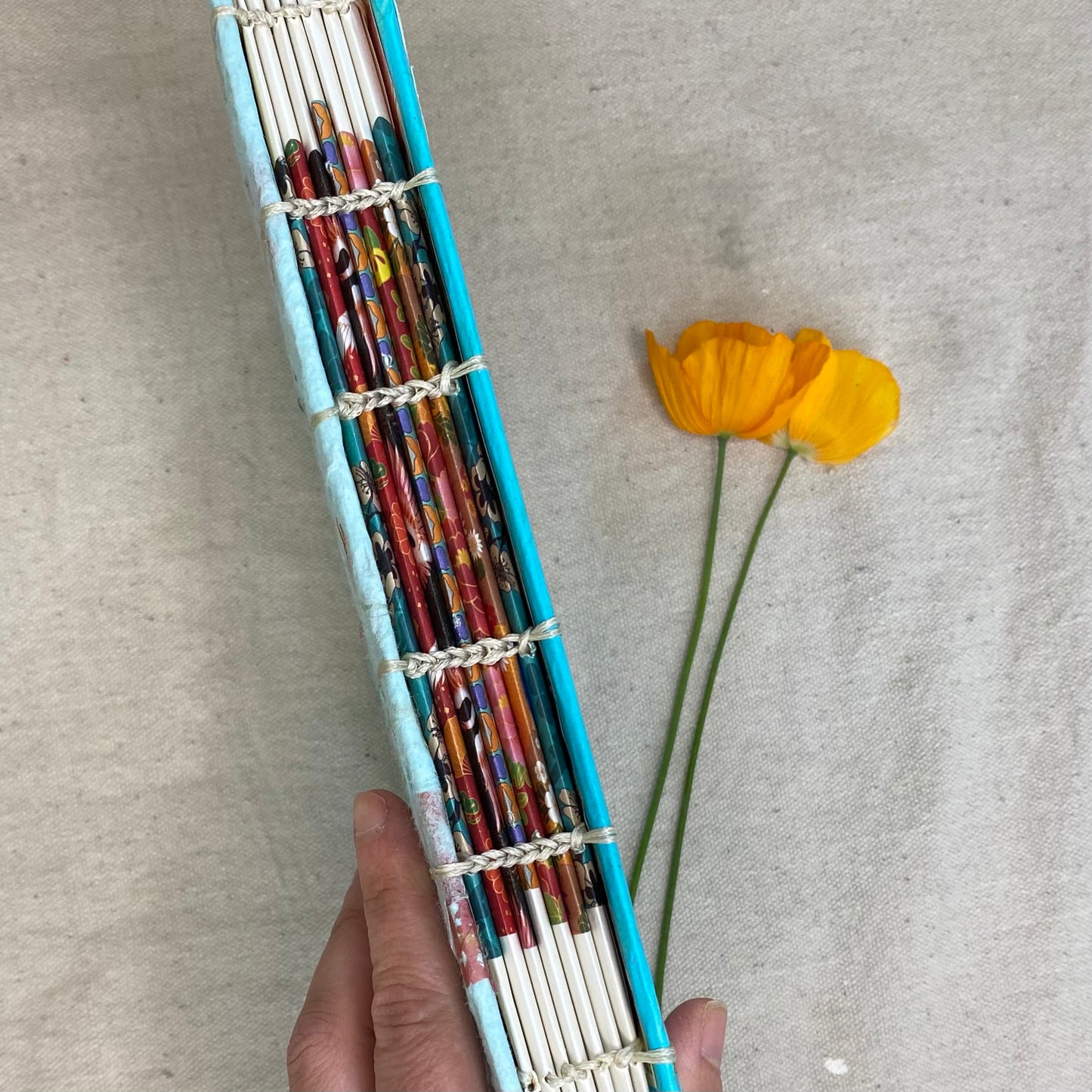 phoenix journal - Zinnia Awakens