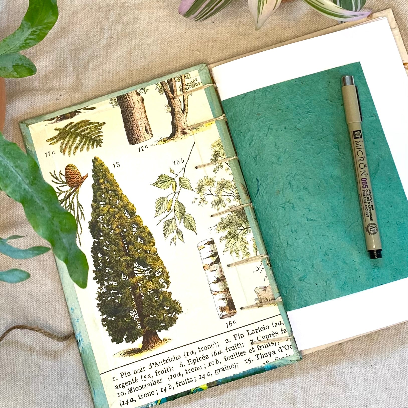 loss of a pet custom journal - Zinnia Awakens