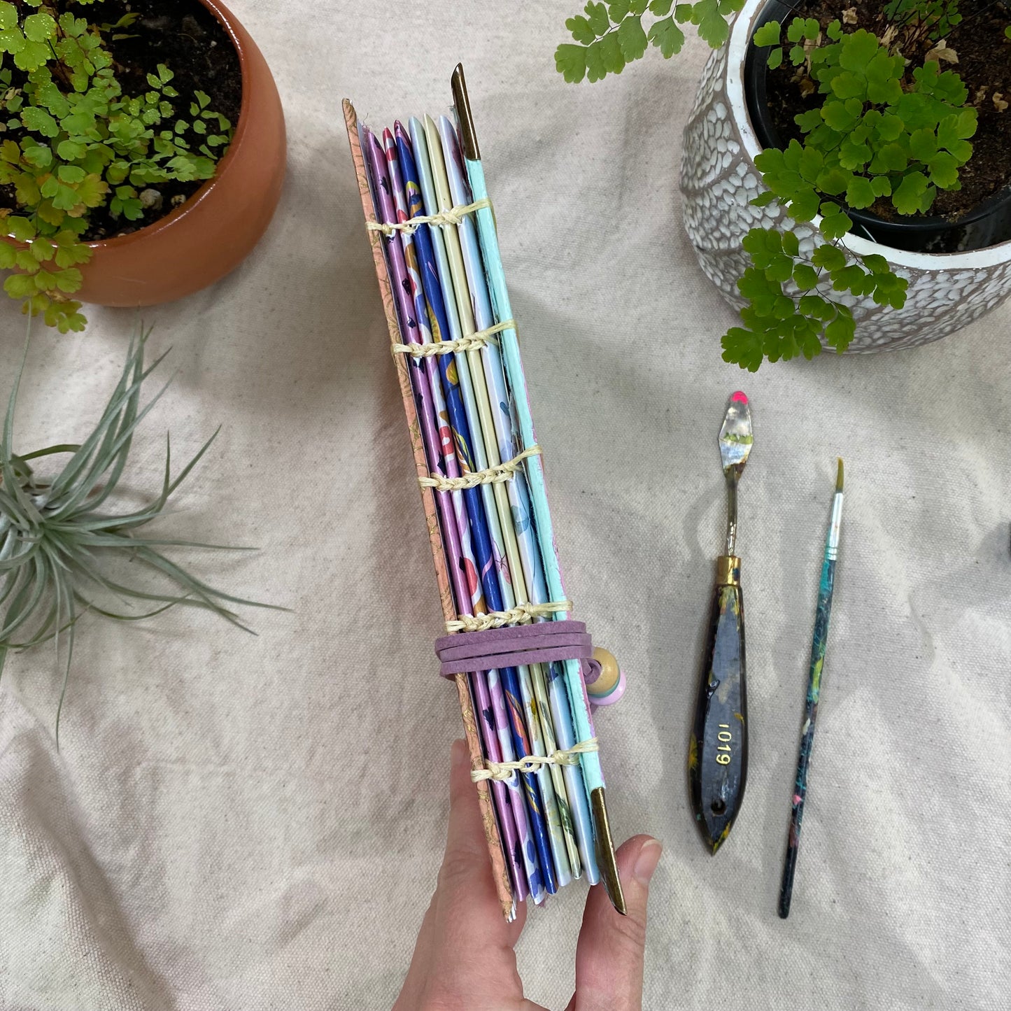 sun and moon journal 🌞 🌙 - Zinnia Awakens