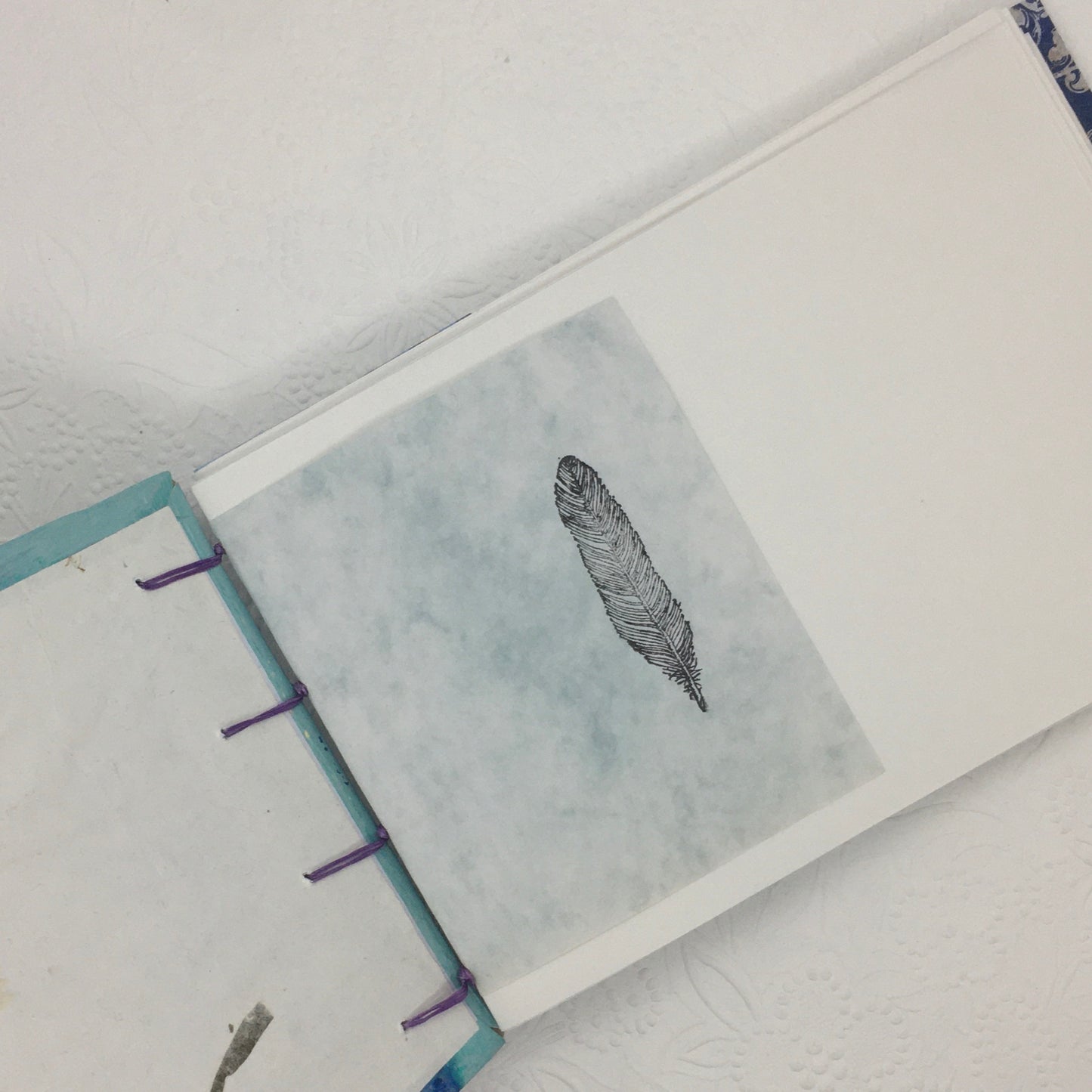 owl journal - Zinnia Awakens