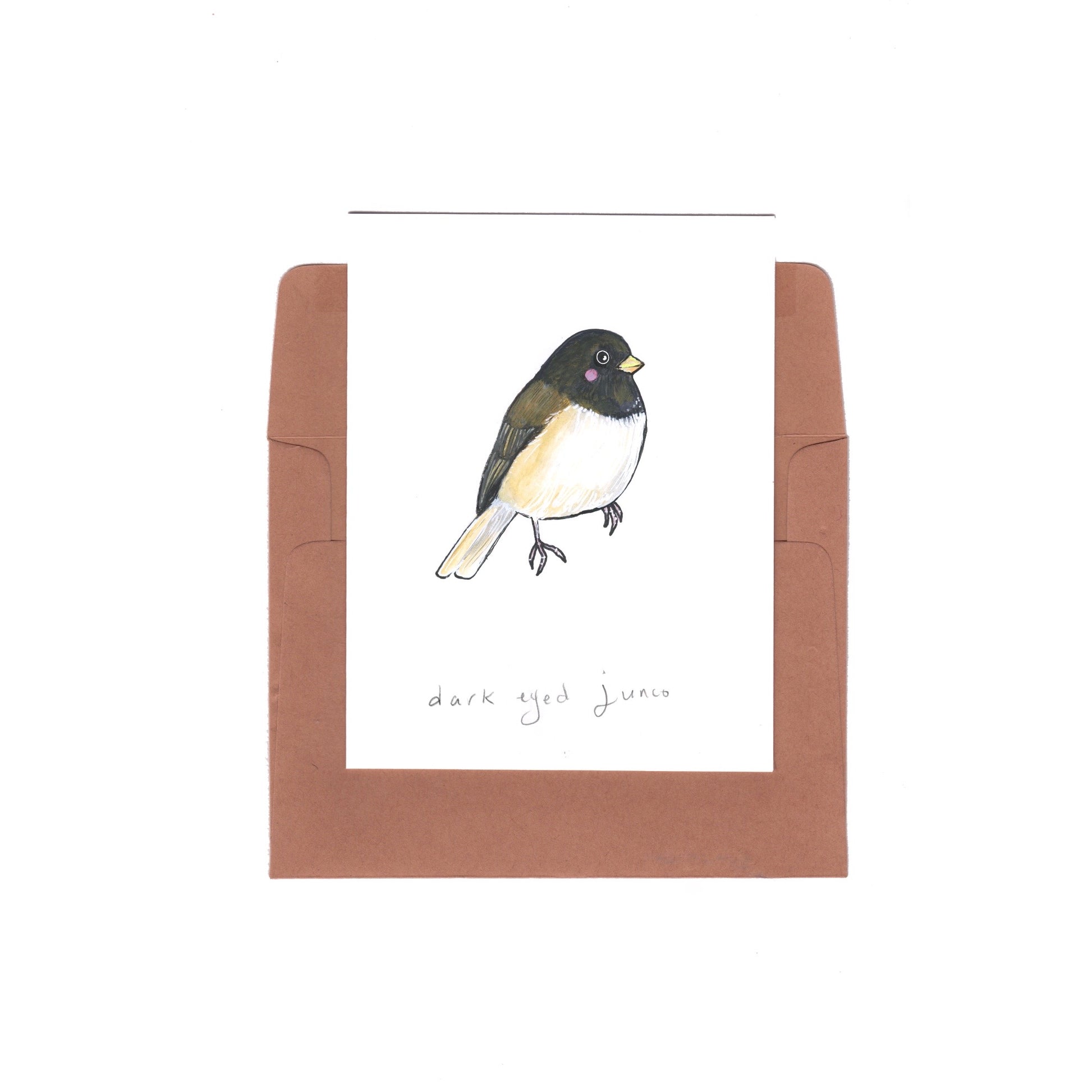 dark-eyed junco - Zinnia Awakens