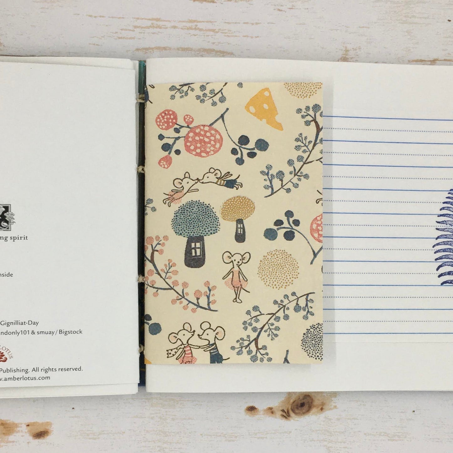 orca journal - Zinnia Awakens
