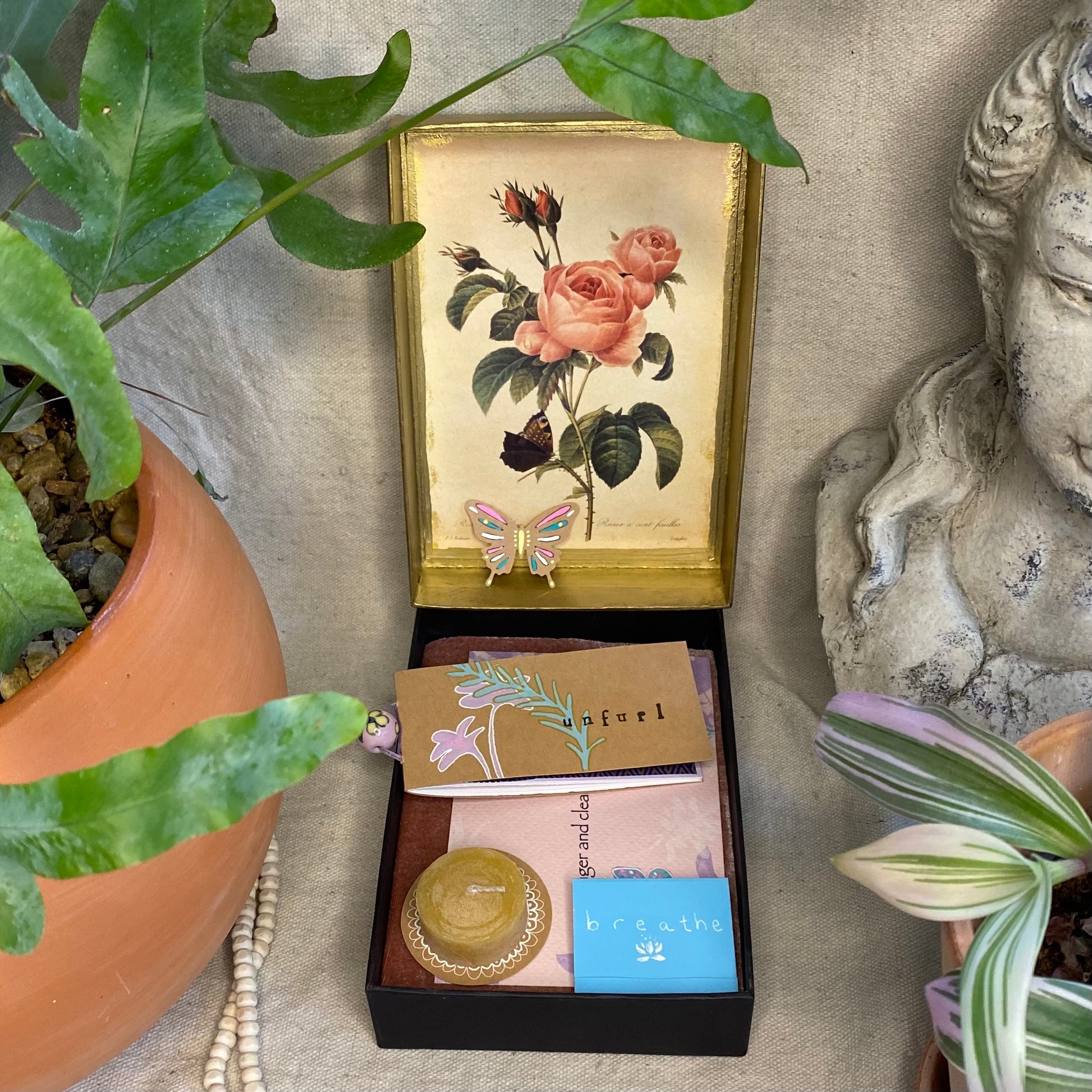 Butterfly Meditation Box 🦋 - Zinnia Awakens