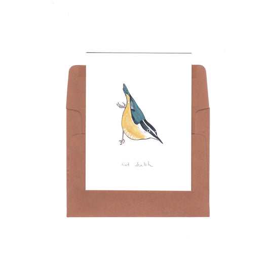 nuthatch - Zinnia Awakens