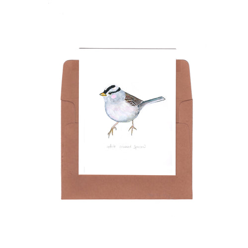 white-crowned sparrow - Zinnia Awakens