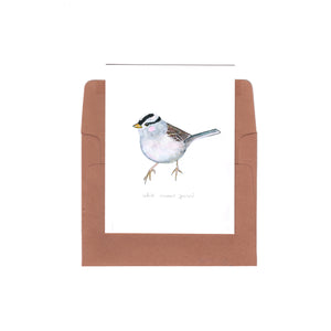 white-crowned sparrow - Zinnia Awakens