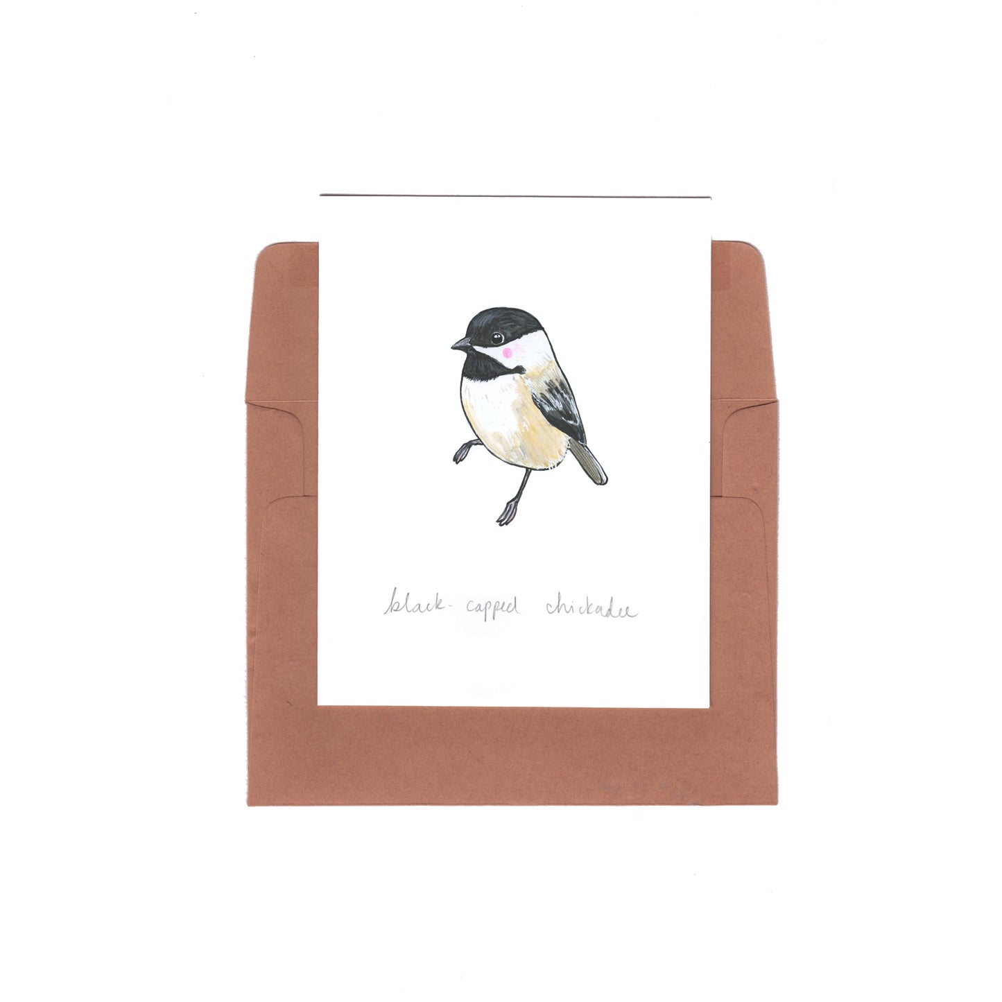 black-capped chickadee - Zinnia Awakens