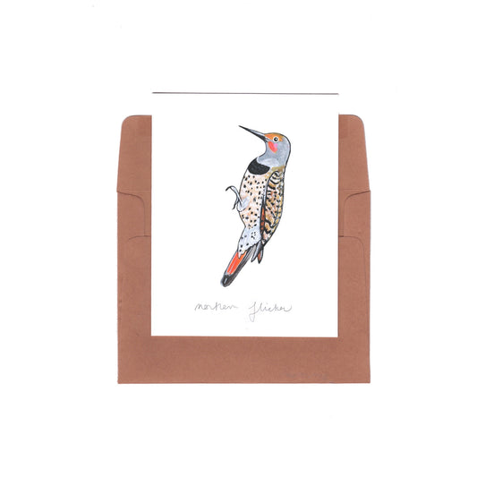 northern flicker - Zinnia Awakens