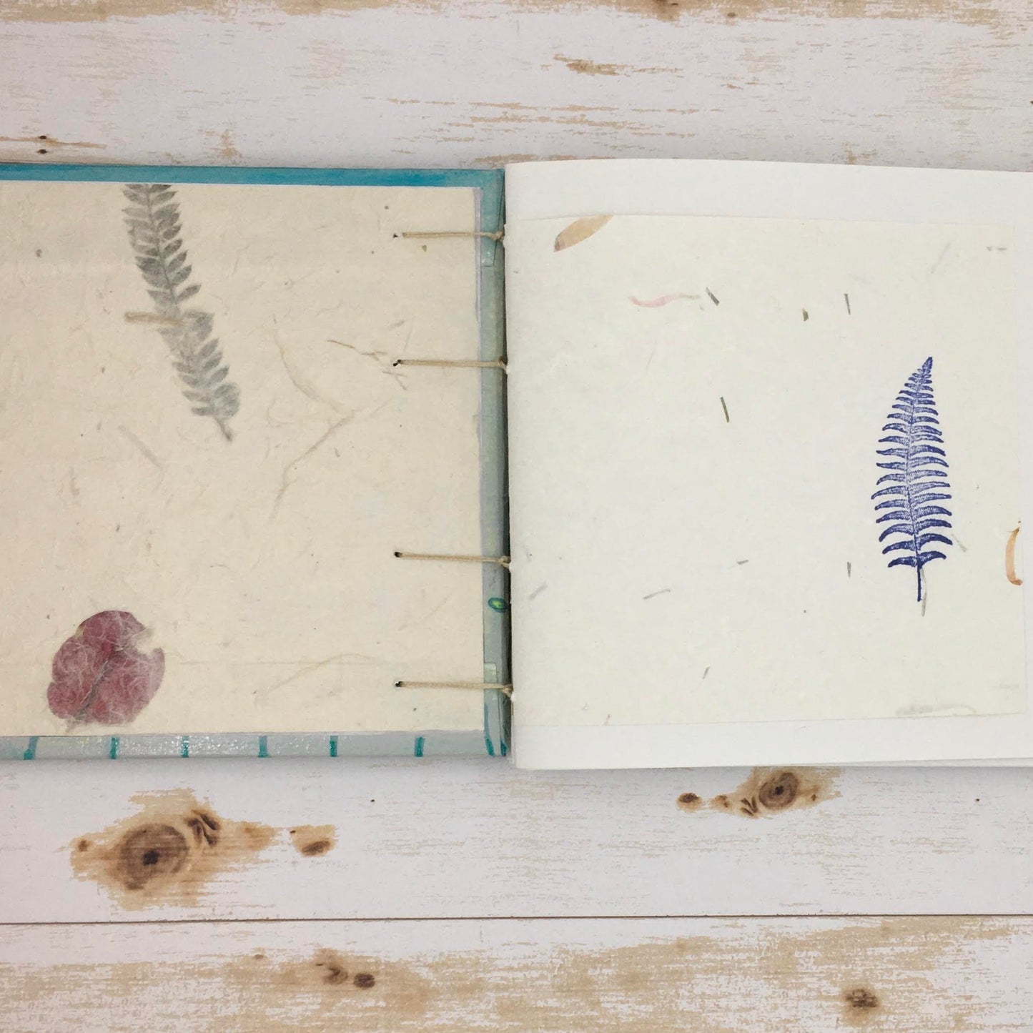 orca journal - Zinnia Awakens