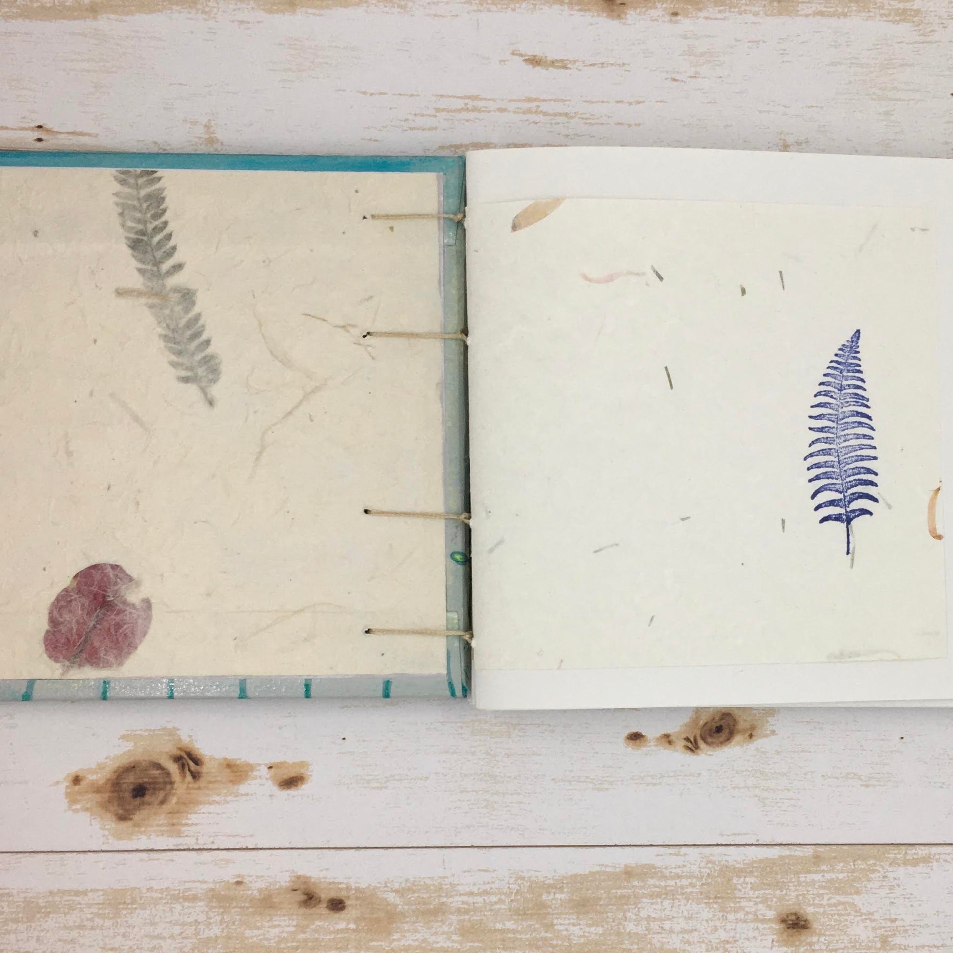 orca journal - Zinnia Awakens