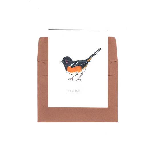 towhee - Zinnia Awakens