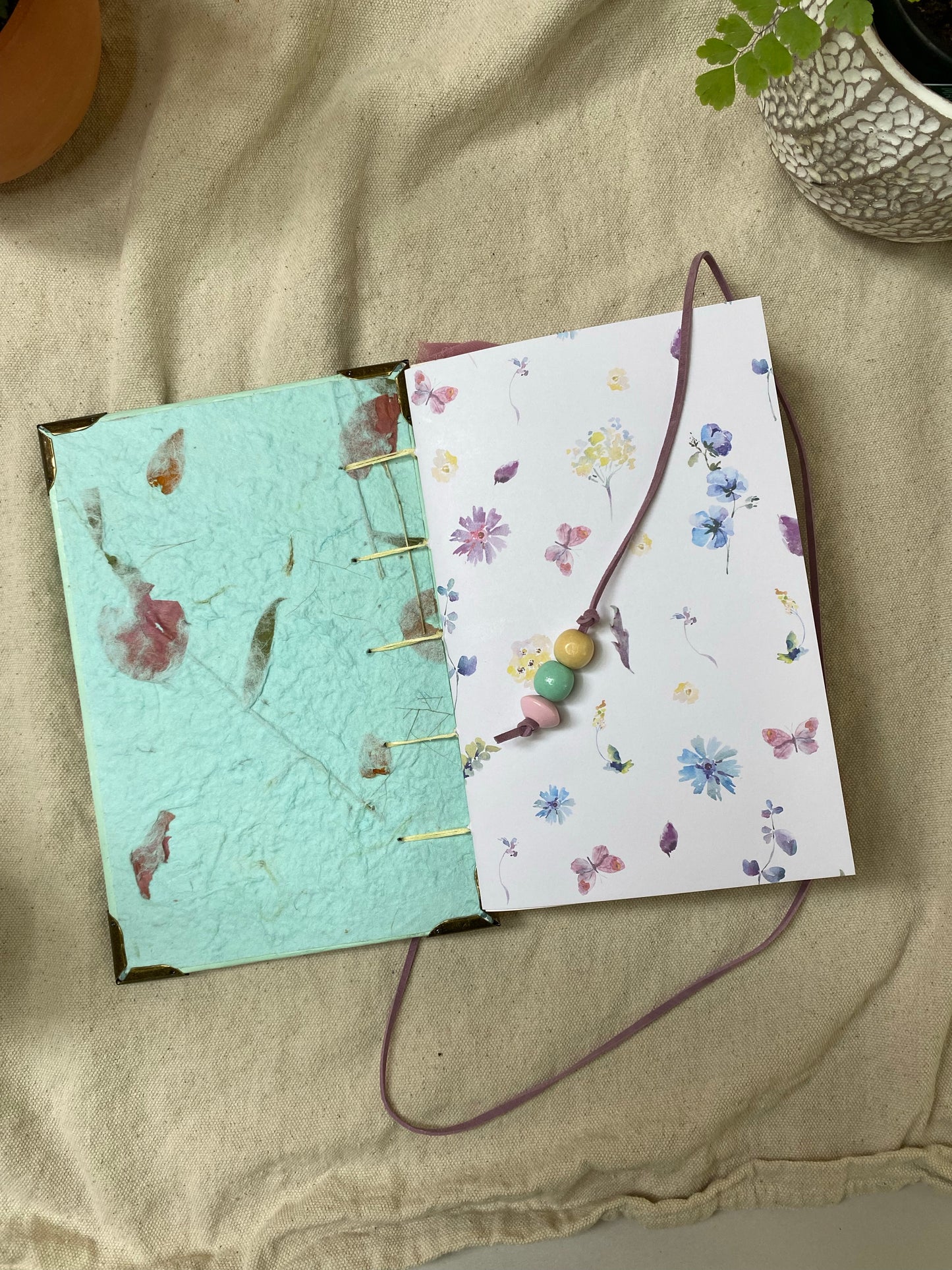 sun and moon journal 🌞 🌙 - Zinnia Awakens
