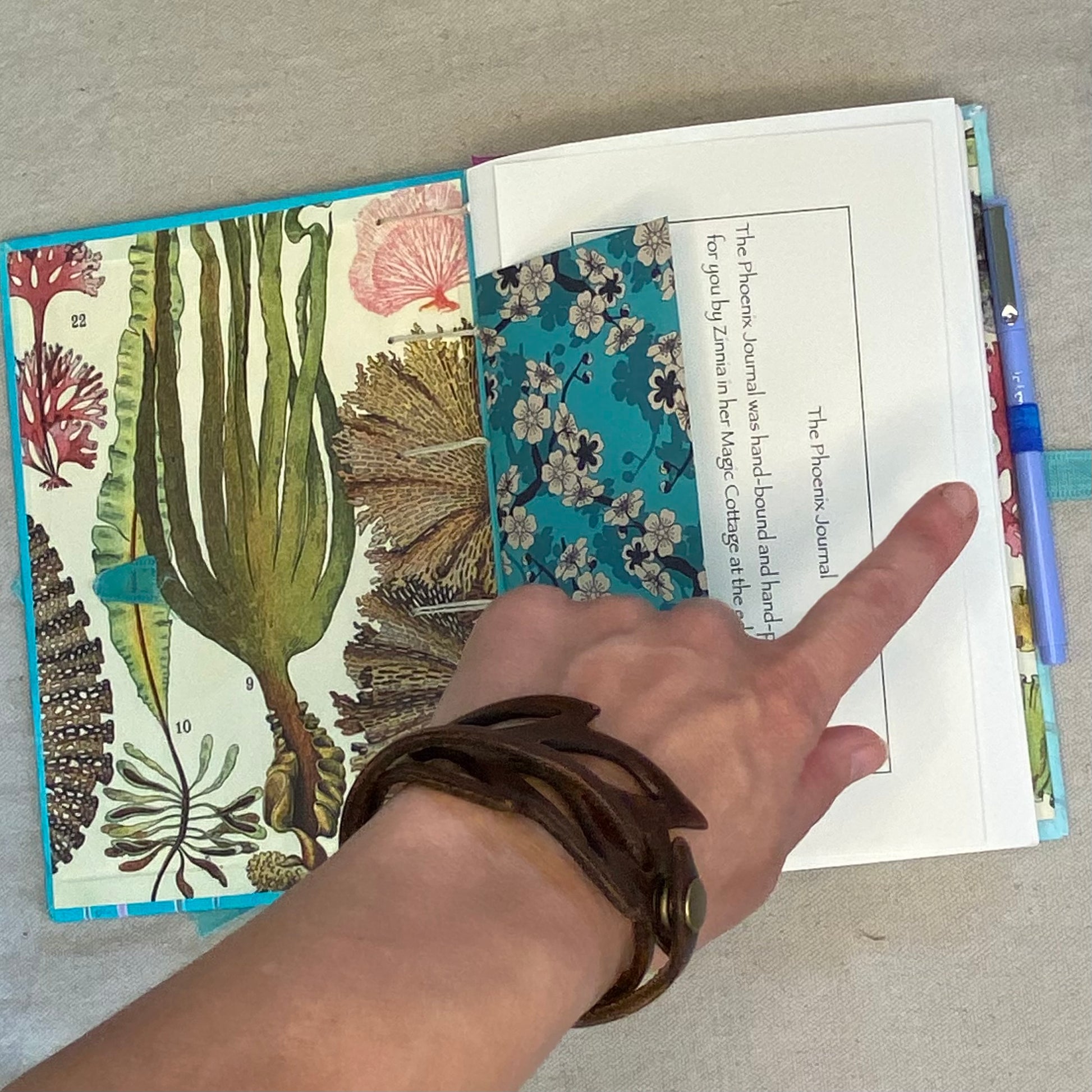 phoenix journal - Zinnia Awakens