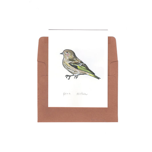 pine siskin - Zinnia Awakens